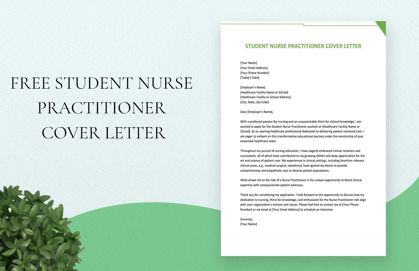39350 clinical experience fnp