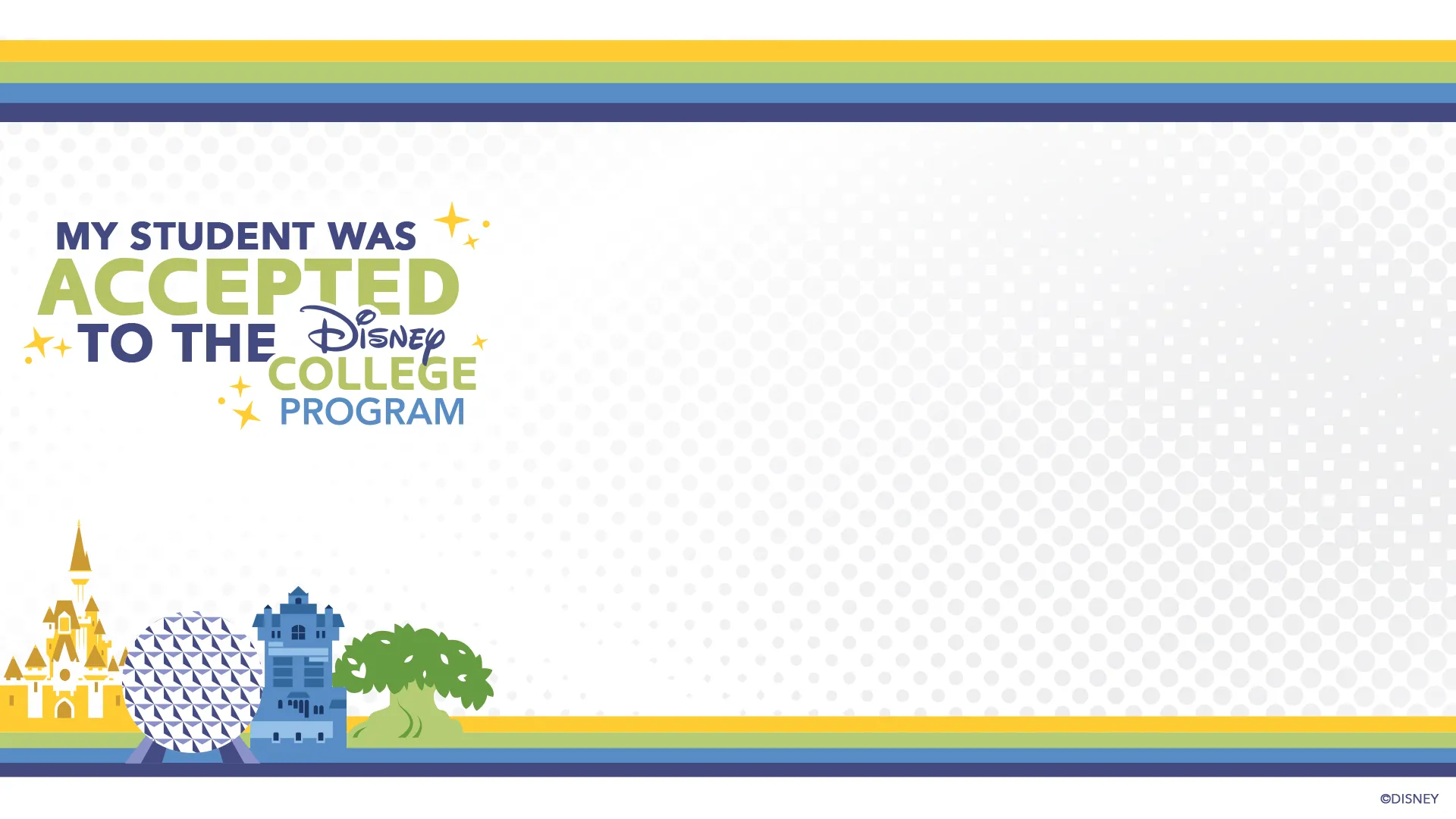 39523 disney college program values
